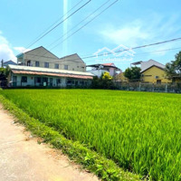 Mặt Tiền Ngang 11M View Lúa Cực Chill Sát Chuỗi Resort Nam Hội An/Shr. Lh 336/421/702