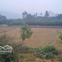 Bán Mảnh Đất Đẹp Của Gia Đình, Gần Đường Hồ Chí Minh, Gần Cáp Treo Chùa Tiên, Ô Tô Vào Tận Đất