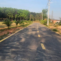 Siêu Ngon Đất Thành Phố Bến Cát Chỉ Từ 1 Tỷ 60M2 Thổ Đường 4M Nhựa