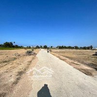 Bán Đất Kdc Ba Tàu, An Hải, Ninh Phước, 1 Tỷ, 173,83 M2, Pháp Lý Đầy Đủ