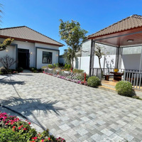 Khai Xuân Giảm Giá Mở Hàng Đầu Năm Mới Nhà Vườn Villa Mái Nhật Sau Chợ Eakao Có Hồ Bơi