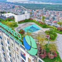 Bán Cc Ecohome Phúc Lợi, 2,45 Tỷ, 46 M2, 2 Phòng Ngủ 1 Vệ Sinhhiếm Có Căn Bán