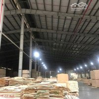 Cho Thuê Kho Xưởng Tại Văn Lâm, Hưng Yên + Diện Tích : 5000M2 Và 3200M2
