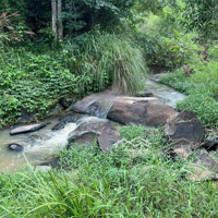 Sở Hữu Ngay 1000M Đất Vườn Cln , Giáp Suối, Cách Biển Dốc Lết 40Km Chỉ Từ 195 Triệu!