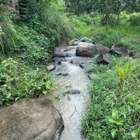 Sở Hữu Ngay 1000M Đất Vườn Cln , Giáp Suối, Cách Biển Dốc Lết 40Km Chỉ Từ 195 Triệu!