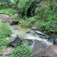 Sở Hữu Ngay 1000M Đất Vườn Cln , Giáp Suối, Cách Biển Dốc Lết 40Km Chỉ Từ 195 Triệu!