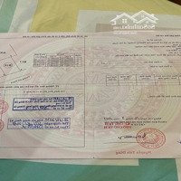Đất Nền Đấu Giá, Sổ Đỏ Chính Chủ Dự Án Phượng Hoàng, Hải Xuân, Móng Cái