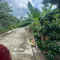 Chính Chủ Kẹt Tiền Cần Bán Gấp Đất Vườn 2500M2 Tại Thống Nhất, Đồng Nai - Giá Chỉ 750 Triệu