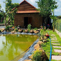 Sở Hữu Đất Vườn Trái Cây Có Suối Nhỏ Gần Tp. Hcm Chỉ 860 Triệu/1000M2 Gần Sân Bay Long Thành