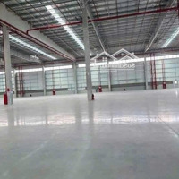 Cho Thuê Nhà Xưởng Trong Kcn Tại Từ Sơn - Bắc Ninh. Phù Hợp Dn Việt Nam - Diện Tích: 1650M2