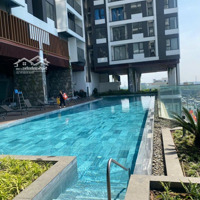 1Pn+1 Diện Tích 54M2, Giá Bán 1Ty9 Đang Chi Thuê 8 Triệu/Tháng, Sổ Sẵn Thanh Toán 210 Triệu Nhận Nhà
