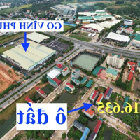 Bán Ô Đất Dịch Vụ Gần Go! Vĩnh Phúc