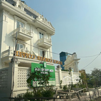 Bán Biệt Thự Góc Đường 18,5M, Liền Kề 100 Thuộc Dự Án Cienco 5 Mê Linh Giá Đầu Tư Liên Hệ: 0987900468