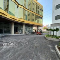 Bán Rẻ Hơn Tt 300 Triệu. Dhomme 1 Phòng Ngủ Sắp Nhận Nhà. View Hồng Bàng-Chợ Lớn.tầng Cao. Giá: 3.390 Tỷ (Btp)