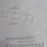 Hàng Ngon Trung Nghĩa 2, Đồ Sơn, Hải Phòng