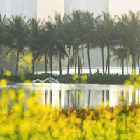 Chính Thức Mở Bán Siêu Phẩm Của Nsl Ecopark Tại Long An, Giá Chỉ 60 Triệu/M2, Ck 10%