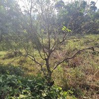 Bán Lô Đất Nhỏ Xinh Tại Cư Yên Lương Sơn Hòa Bình