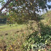 Bán Lô Đất Nhỏ Xinh Tại Cư Yên Lương Sơn Hòa Bình
