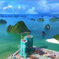 Bán Tòa C View Trực Diện Biển Giá Từ 1.8Tỷ.diện Tích33M2-43M2. Htls 24Tháng, Ck 21%. Full Nội Thất