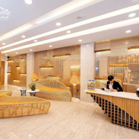 Khách Sạn 67 Phòng Cao Cấp Mặt Tiền Thủ Khoa Huân Kế Chợ Bến Thành, 9X21,5M- 11 Tầng - 450 Tỷ.