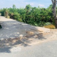 Bán Gấp 500M2 Đất Vườn, Đường Xe Hơi, Ngay Tt Cần Giuộc