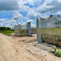 Bán Gấp 500M2 Đất Vườn, Đường Xe Hơi, Ngay Tt Cần Giuộc