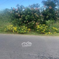Cần Bán Lô Đất Mặt Tiền Đạ Tẻh, Đường Nhựa Chính Xã Quảng Trị Cách Chợ 2Km
