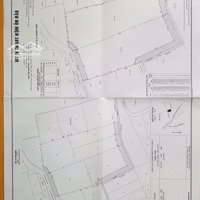 Cần Bán Đất 2 Mt/ Lê Thị Kim - Xã Xuân Thới Sơn - Hóc Môn- Tp.hcm ( Dt: 110X181=19.910) Đất Thổ Cư
