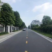 Chủ Nhà Đang Vay Ngân Hàng Nên Cần Bán Căn Song Lập Sao Biển 142M2 Rẻ Nhất Thị Trường Chỉ 24 Tỷ