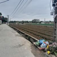 Bán gấp lô đất siêu đẹp đường thông ô tô tránh tại Mê Linh Hà Nội cách trục chính Mê Linh 500m