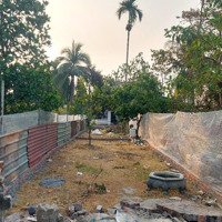 Lô Đất 60,6M2 Tại Bạch Mai, Đồng Thái, An Dương. Ngõ 4M. Giá Bán 1,59 Tỷ