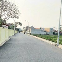 Lô Đất 60,6M2 Tại Bạch Mai, Đồng Thái, An Dương. Ngõ 4M. Giá Bán 1,59 Tỷ