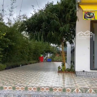Bán Dn Siêu Hot 35 Tỷ, 45.768M2 Tại Quốc Lộ 91B, Khánh An, An Phú, An Giang