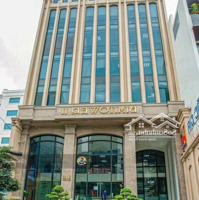 Hàng Hiếm! Bán Tòa Building Mặt Tiền Pasteur - 8X20M - Hầm 10 Tầng - Hđt: 350 Tr/Th - Giá: 160 Tỷ