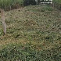 Bán Đất Thổ Cư Thủ Thừa Long An 5X34