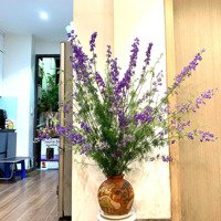 Bán Cc 2 Phòng Ngủ 2 Vệ Sinh 80M2 Tại New Horizon City, 4,9 Tỷ, View Đẹp, Hoàng Mai, Hà Nội. Có Thương Lượng.