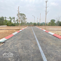 Bán Đất Tại Đường 420, Thạch Thất, Hà Nội, Giá Cực Chất 2,842 Tỷ, 82,4 M2