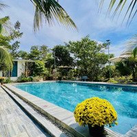 7,5 Tỉ Sở Hữu View Nghĩ Dưỡngdiện Tích7500M2(7,5 Sào) Đầy Tủ Công Năng