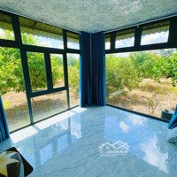 7,5 Tỉ Sở Hữu View Nghĩ Dưỡngdiện Tích7500M2(7,5 Sào) Đầy Tủ Công Năng