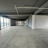 Hot! Văn Phòng 200M2 Tại Trung Tâm, Sàn Rộng, View Đẹp, Giá Tốt