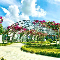 Cần Bán Lô Góc Đối Diện Hồ Bơi Đẹp Nhất Mỹ Gia Gói 8 Nha Trang Đường Thông 30Mét Chỉ 42 Triệu/M2