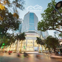 Cho Thuê Showroom Cao Cấp Mặt Phố Trần Phú - Hà Đôngdiện Tích440M 1 Sàn Riêng Biệtmặt Tiền22M Ưu Tiên Chuỗi