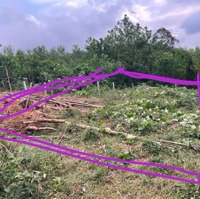 Bán Đất Tại Xã Hòa Ninh, 750 Triệu, 200M2