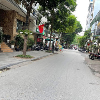 Tôn Thất Thiệp - Lõi Ba Đình. 89M, 9T, Thang Máy. Ô Tô Vào Nhà. Đỗ Ngày Đêm. Khu Quân Đội. Giá Bán 45Tỷ