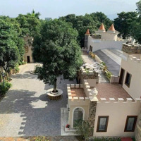 Bán Nhanh Toà Lâu Đài Châu Âu 1.589M2 Tại Khu Biệt Thự Đồng Trúc, Thạch Thất 0383181389