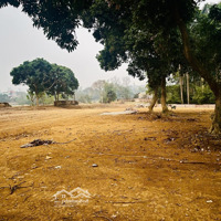 Bán Đất Tại Nguyễn Văn Linh, Lương Sơn, Hòa Bình, 10 Triệu Vnd/M2, 120M2, Giá Siêu Hời