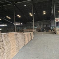 Cho Thuê Nhà Xưởnng Trần Văn Chậm Củ Chi,Diện Tíchxưởng 2700M2, Giá 148 Triệu/Tháng