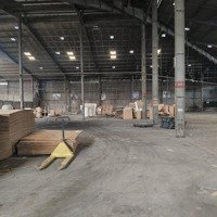 Cho Thuê Nhà Xưởnng Trần Văn Chậm Củ Chi,Diện Tíchxưởng 2700M2, Giá 148 Triệu/Tháng