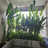 Chủ Gửi Bán Gấp Căn Hộ Âu Cơ Tower Q .Tân Phú Nằm Ngay Mặt Tiền Đường Âu Cơ