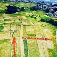 Quangvinh Chào Bán Lô Đất Vườn 390M2 Qh Chuyển Đổi Lên Đất Ở.vị Trí Ngay Khu Trung Tâmgần Công Viên
